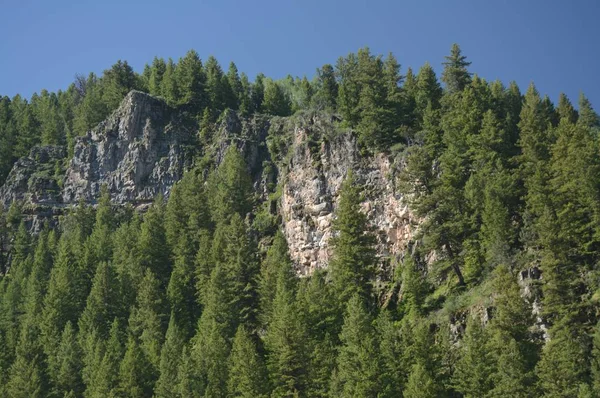 Kaya ve önbellek Ulusal ormanı içinde herdem yeşil