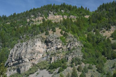 Eğimli yüzey ve herdem yeşil önbellek National Forest - Utah