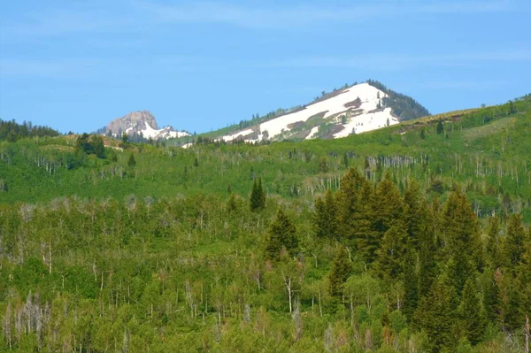 Monte Naomi Wilderness Bear River Range — Fotografia de Stock