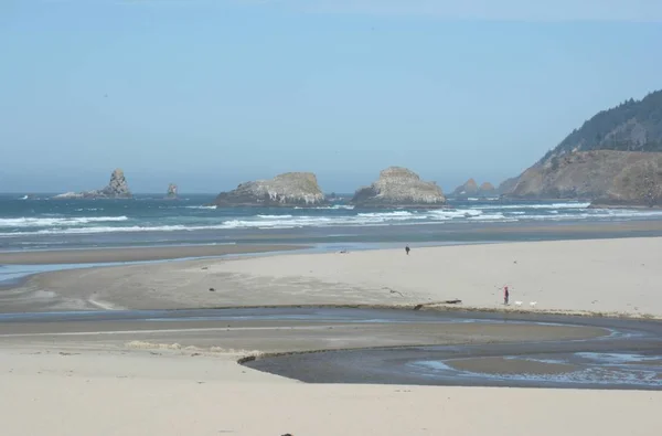 Cena Manhã Praia Litoral Vista Manhã Tranquila Pitoresca Praia Litoral — Fotografia de Stock