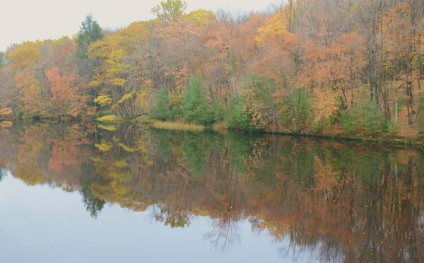 Colorful Autumn Foliage Reflections Chippewa River Brunet Island State Park — 스톡 사진