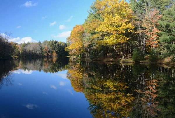 Engaging Autumn Foliage Reflections Shown Brunet Island State Park Central — Stock Photo, Image