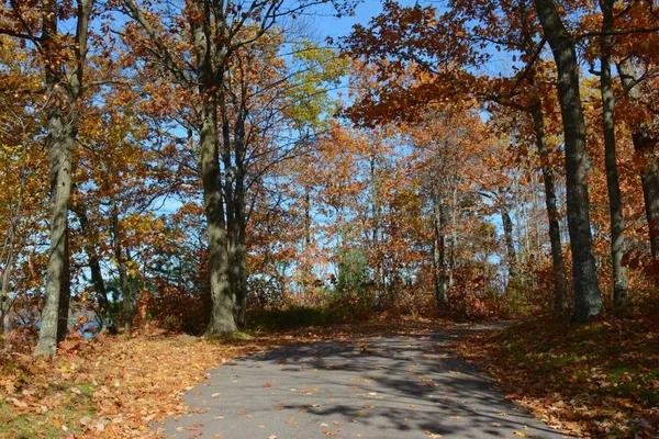 Paisagem Outono Brilhante Floresta Nacional Chequamegon Wisconsin Central — Fotografia de Stock