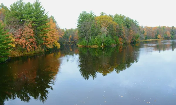 Serene Vista Осенней Листвы Реке Чиппева Государственном Парке Брунет Айленд — стоковое фото