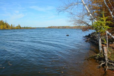 Chippewa Flowage 'da panoramik sonbahar manzarası, Wisconsin' in kuzey merkezinde geniş bir tatlı su haczi..