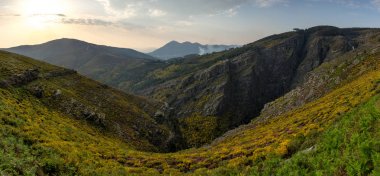 Dağ tepe panorama