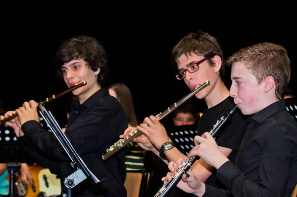 Un jeune groupe de musique classique se produisant — Photo