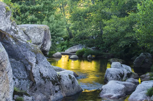 Ποταμός Almofrei στη Pontevedrea, Γαλικία (Ισπανία) — Φωτογραφία Αρχείου