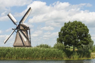 geleneksel yel değirmenleri Hollanda