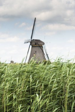 geleneksel yel değirmenleri Hollanda