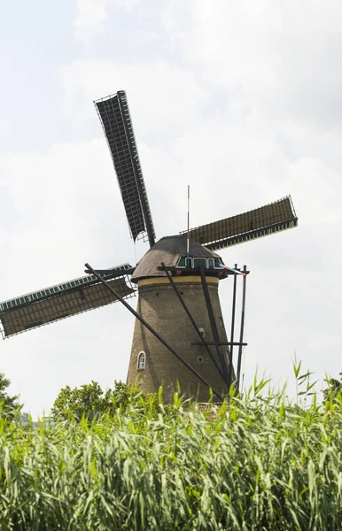 Traditionele windmolens in Nederland — Stockfoto