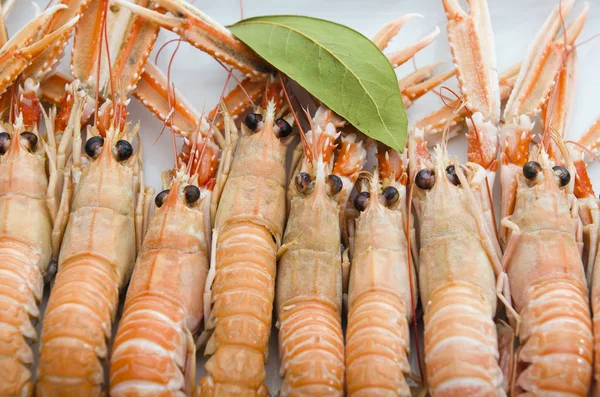 Nephrops norvegicus kokta — Stockfoto