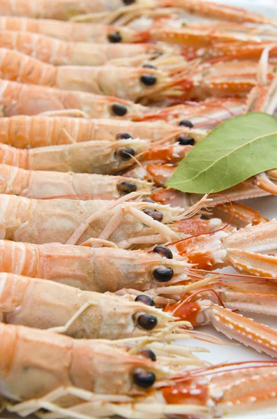 Nephrops norvegicus kokta — Stockfoto