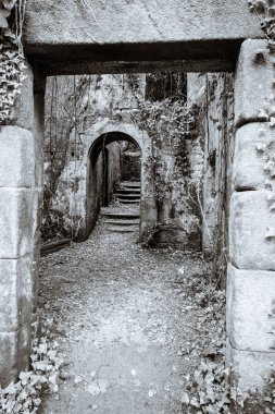 Bir ev harabeye girişine