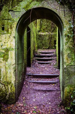 Bir ev harabeye girişine