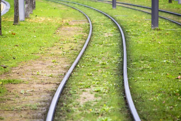 Trolley tracks on grass — Stock Photo, Image