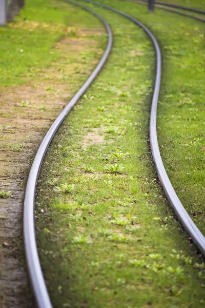 Trolley tracks on grass — Stock Photo, Image