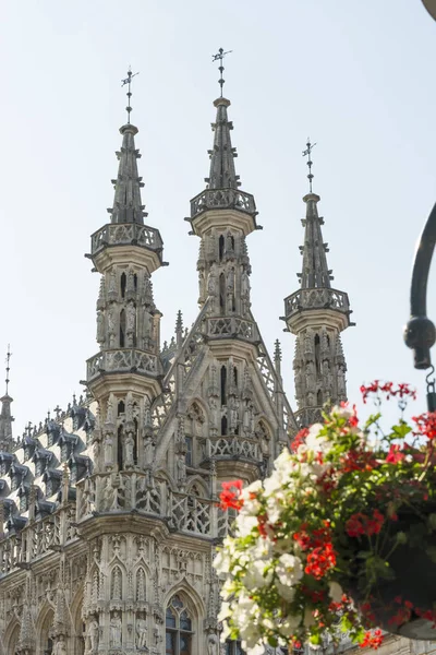 Détail de la mairie de Louvain — Photo