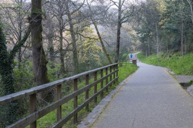 Pontevedra (İspanya yolunda)