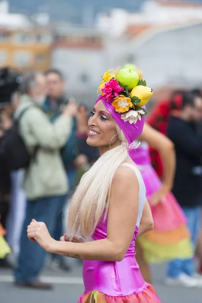 Зимний карнавал в Понтеведре (Испания) ) — стоковое фото