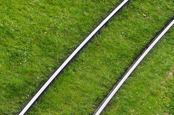 都市における路面電車のレール — ストック写真