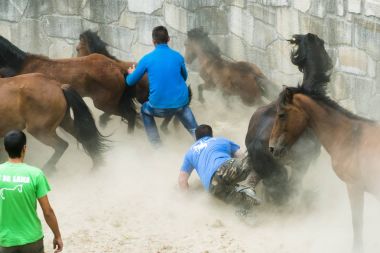 Galiçya (İspanya Vahşi atlar)
