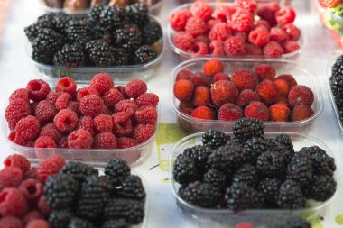 Orman çeşitli meyve