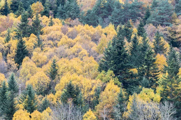 Sonbahar, İspanya (İspanya)