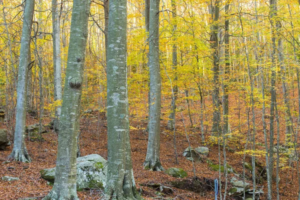 Jesień w Katalonii (Hiszpania) — Zdjęcie stockowe