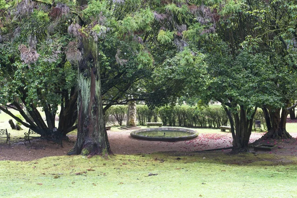 Jardim Soutomaior Galiza Spin — Fotografia de Stock