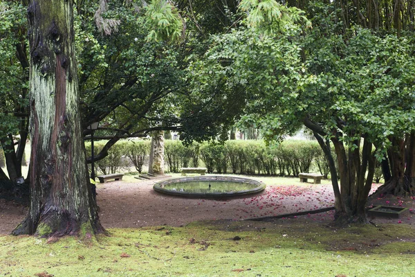 Soutomaior Galiçya Spin Bahçede — Stok fotoğraf