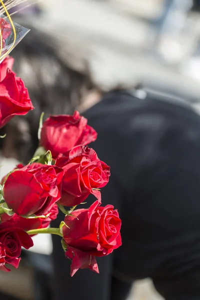 Detalle Algunas Rosas Rojas Contra Luz — Foto de Stock