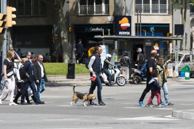 Barselona, İspanya - 23 Nisan 2017 San Jordi kutlamaları sırasında bazı insanlar yaya geçidini geçtiler.
