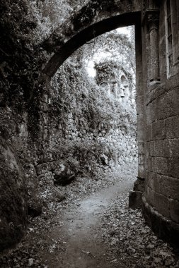 Santo Estevo de Ribas de Mino Kilisesi, İspanya 'nın Lugo kentindeki Plena Ribeira Sacra kentinde yer almaktadır..