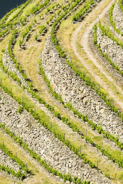 Tájkép Galíciai Ribeira Sacra Régióban Spanyolország — Stock Fotó