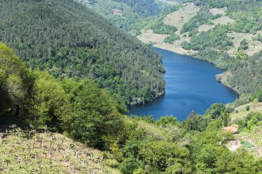 Galiçya 'nın Ribeira Sacra bölgesinde manzara (İspanya))