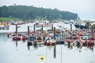 Illa De Arousa, İspanya - 27 Mayıs 2017: Ria de Arousa adasında büyük bir hareketlilikle balıkçılık limanı.