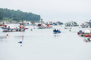 Illa De Arousa, İspanya - 27 Mayıs 2017: Ria de Arousa adasında büyük bir hareketlilikle balıkçılık limanı.