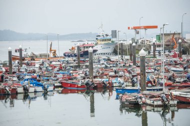 Illa De Arousa, İspanya - 27 Mayıs 2017: Ria de Arousa adasında büyük bir hareketlilikle balıkçılık limanı.