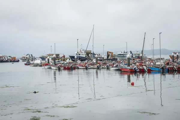 Illa Arousa Espanha Maio 2017 Porto Pesca Com Grande Atividade — Fotografia de Stock