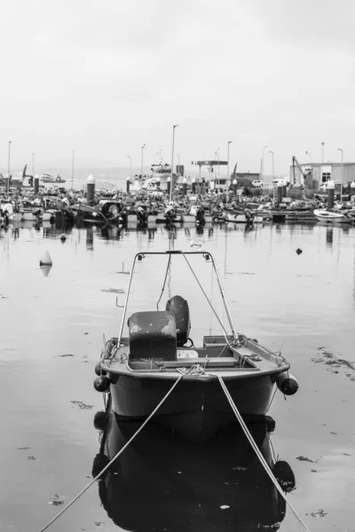 Illa Arousa Ισπανία Μαΐου 2017 Αλιευτικό Λιμάνι Μεγάλη Δραστηριότητα Στο — Φωτογραφία Αρχείου