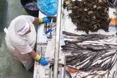 Pontevedra, İspanya - 12 Ağustos 2017: Merkezi pazardaki balık ve deniz ürünleri tezgahlarının ayrıntıları.