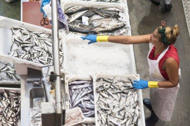 Pontevedra, İspanya - 12 Ağustos 2017: Merkezi pazardaki balık ve deniz ürünleri tezgahlarının ayrıntıları.