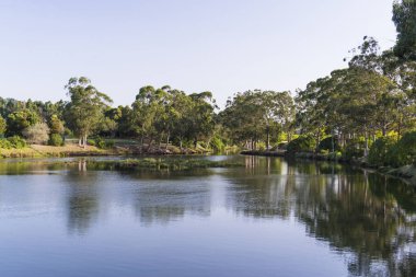 Galiçya 'nın Pontevedra kentinden geçen Lerez Nehri' nin akarsularını oluşturan küçük bir göl (İspanya).)
