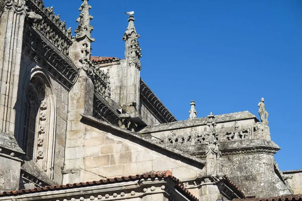 Szczegóły Bazyliki Santa Maria Mayor Pontevedra Hiszpania — Zdjęcie stockowe