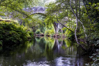 Galiçya 'nın Cerdedo köyü yakınlarındaki ortaçağ köprüsü (İspanya)