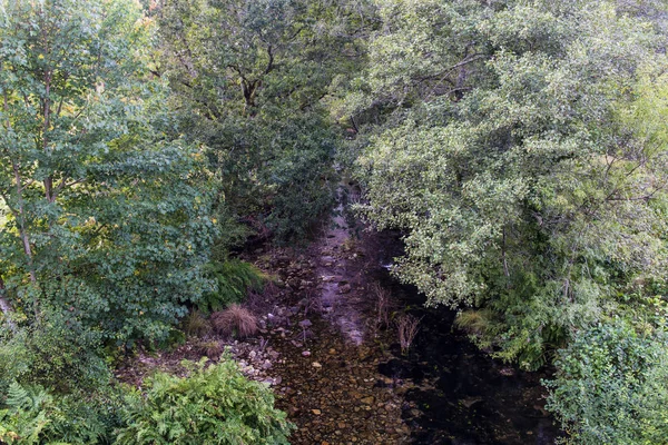 Ποταμός Μεγάλη Βλάστηση Στις Άκρες Του Cerdedo Στη Γαλικία Pontevedra — Φωτογραφία Αρχείου
