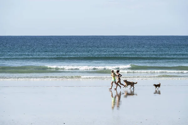 O grove, spanien - ein begleitendes paar eines hundes üben laufen th — Stockfoto