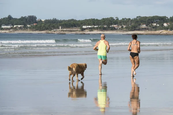 Una pareja de acompañantes de una práctica de perros corriendo . — Foto de Stock