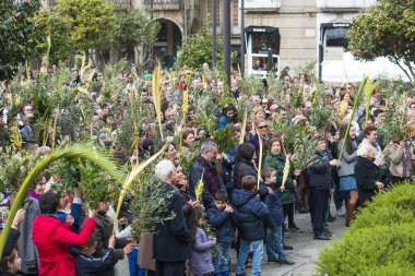 PONTEVEDRA, SPAIN - MARCH 29, 2015: Detail of person participating in the celebration of Palm Sunday before Easter, waiting for the blessing of olive branches and palm..